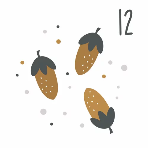 Adventskalender Vitalapotheke am Heinzelmannpark